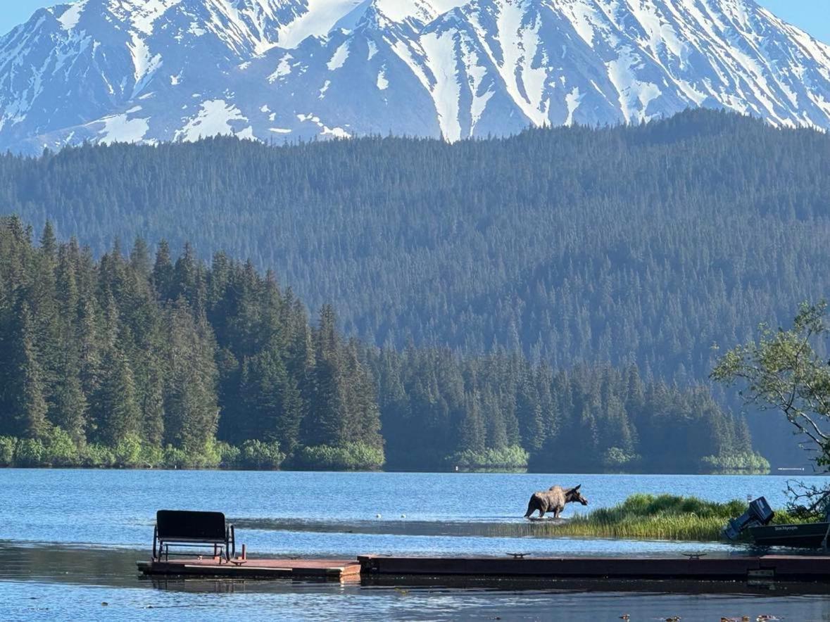 Bear Lake Lodgings B&B, Inc Seward Exteriör bild